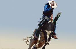 thumbnail for March 2014 cover article