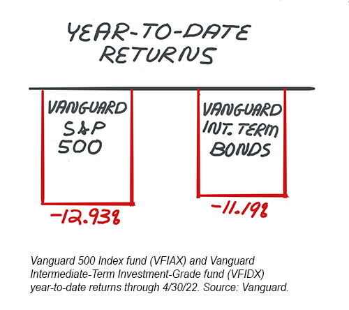 sketch: year to date returns bar chart. S&P 500 -12.93% and Vanguard intermediate-term bonds -11.19%