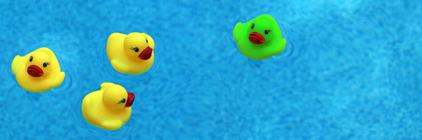 This week's highlight image