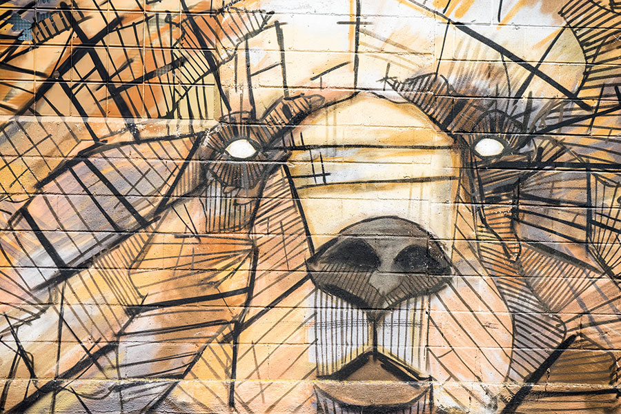 Bear Markets Are a Normal Part of Investing