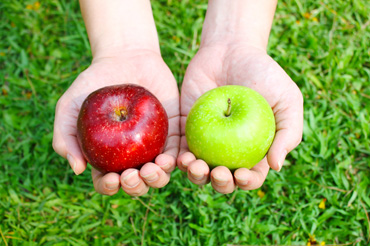 Comparing Funds That Track the Same Index