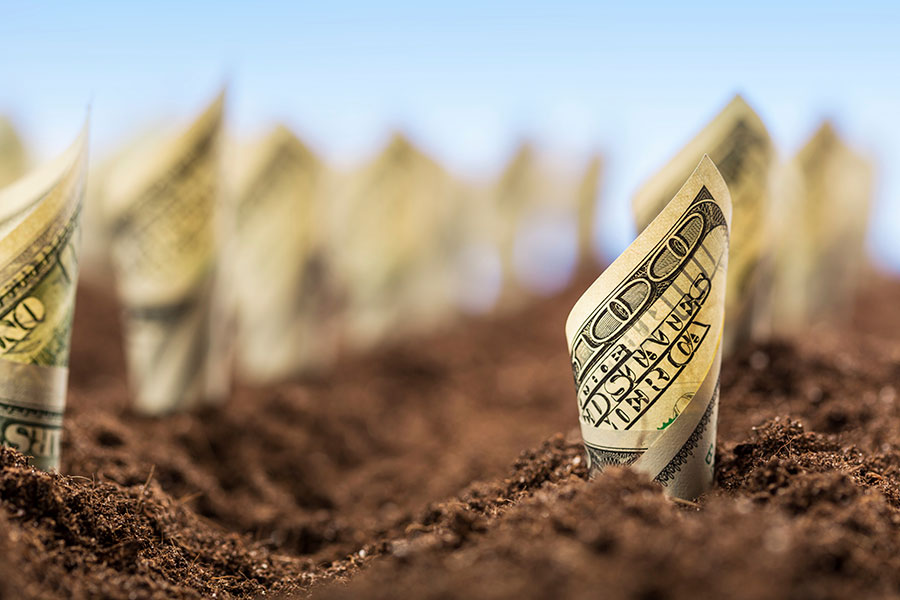 Investors Weigh In: Is This a Good Time to Do a Roth IRA Conversion?