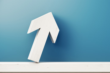 	Bonds Have a Role Even With Current Interest Rates
                                             