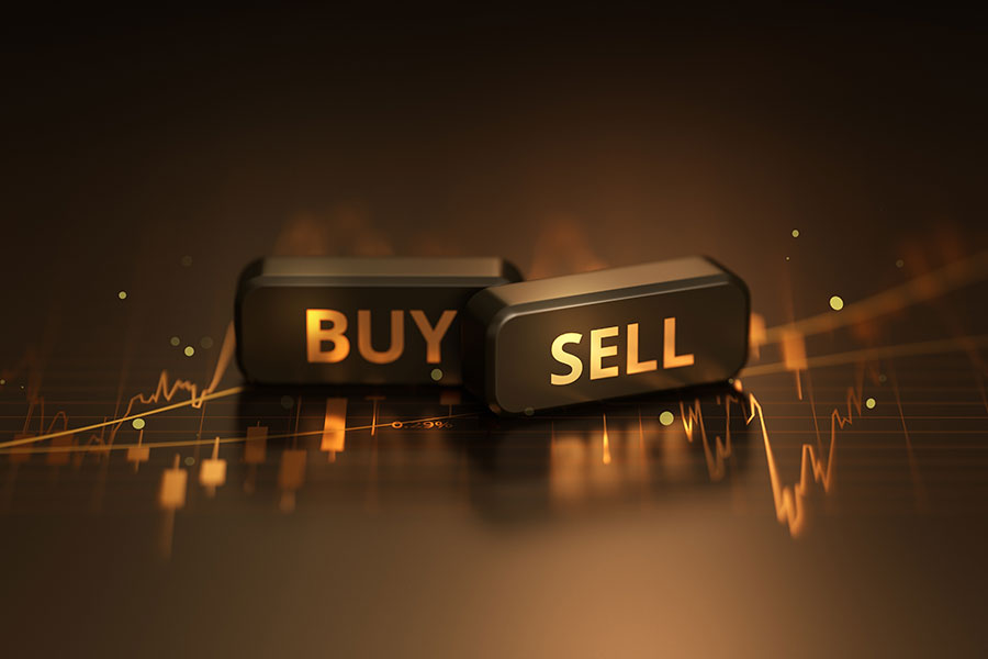 Trading Electronics for Homes in the Model Shadow Stock Portfolio