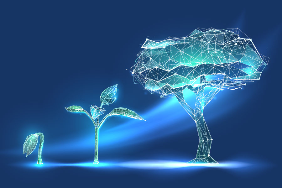 Uncovering Consistent & Sustainable Growth With AAII's Revised Growth Grade