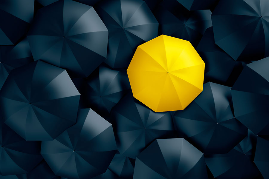 Using Your Portfolio's Asset Mix to Control Your Risk