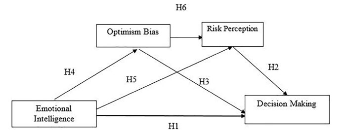 FIGURE 1 | Conceptual framework.