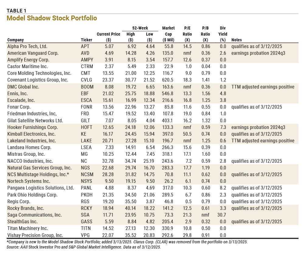 TABLE 1 Model Shadow Stock Portfolio