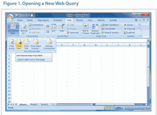 aaii the american association of individual investors excel web query